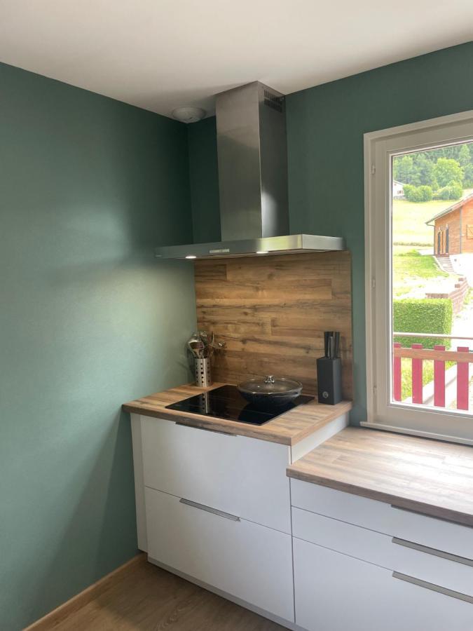 Chalet Le Cedre Bleu 10 P - 10 Min De Gerardmer Le Tholy Dış mekan fotoğraf