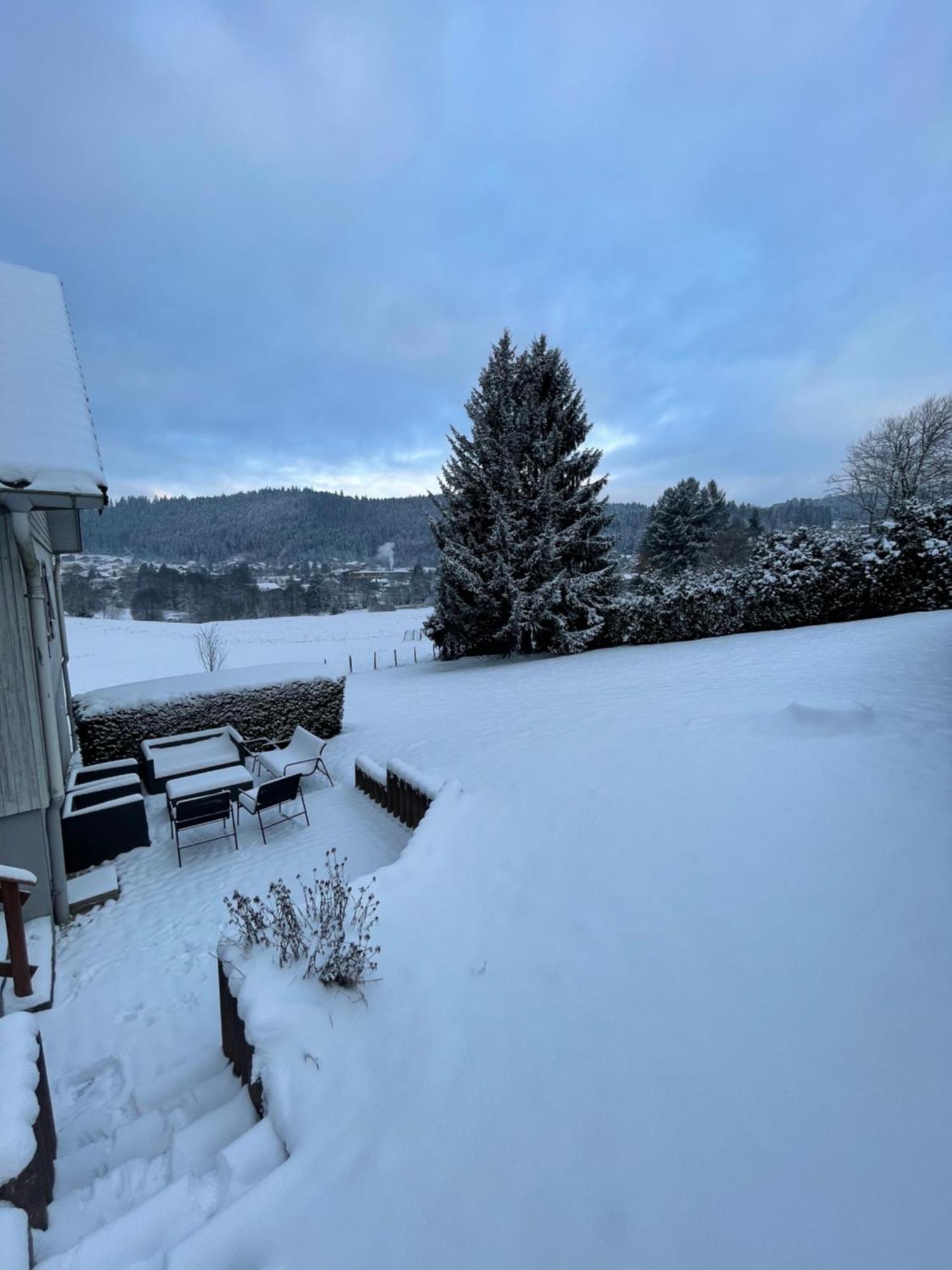 Chalet Le Cedre Bleu 10 P - 10 Min De Gerardmer Le Tholy Dış mekan fotoğraf